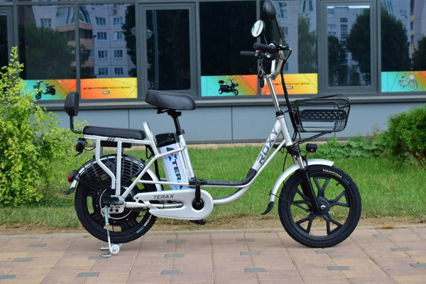 Изображение товара Электровелосипед Terax Roxy NS010
