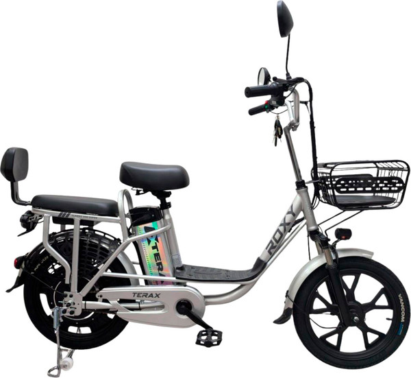 Изображение товара Электровелосипед Terax Roxy NS010