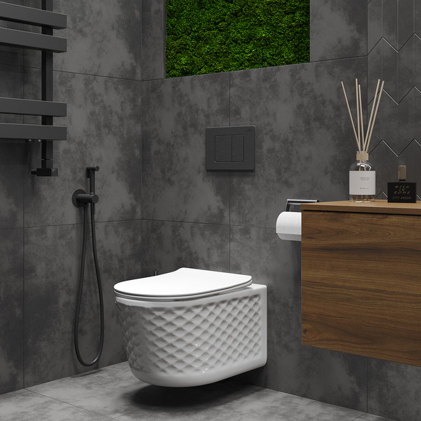 Изображение товара Унитаз подвесной Roxen Vine 530225-01 Rimless Soft Close NC