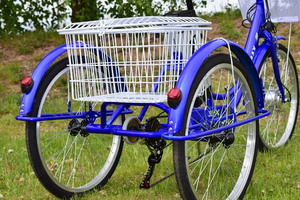 Изображение товара Электровелосипед Terax Naroch XD02