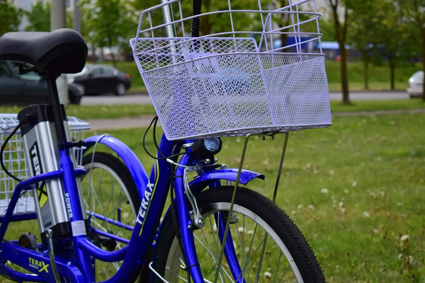 Изображение товара Электровелосипед Terax Naroch XD02