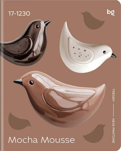 Изображение товара Тетрадь BG Mocha Mousse / Т5ск48_лс 57636 (48л, клетка, soft-touch ламинация)