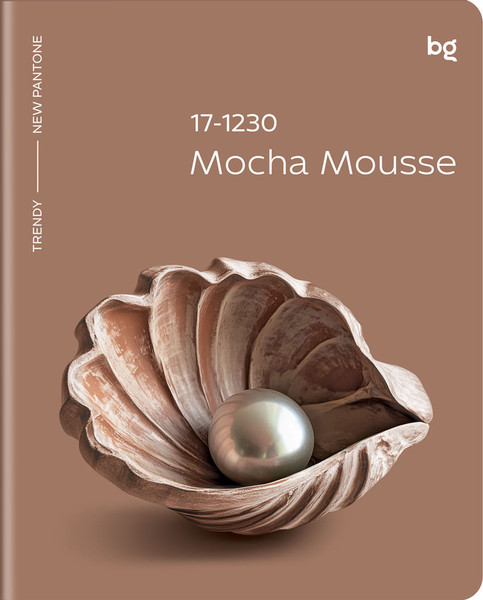 Изображение товара Тетрадь BG Mocha Mousse / Т5ск48_лс 57636 (48л, клетка, soft-touch ламинация)