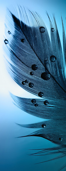 Изображение товара Фотообои листовые Citydecor Абстракция 230 (100x260см)