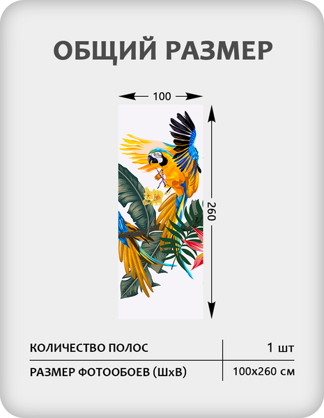 Изображение товара Фотообои листовые Citydecor Абстракция 394 (100x260см)