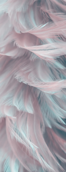 Изображение товара Фотообои листовые Citydecor Абстракция 27 (100x260см)