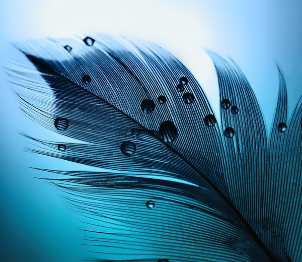 Изображение товара Фотообои листовые Citydecor Абстракция 230 (300x260см)