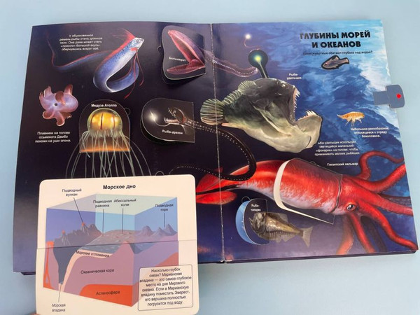 Изображение товара Книжка-панорамка Эксмо Тайны подводного мира, твердая обложка
