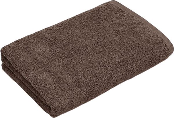 Изображение товара Полотенце Lilia Бордюр Махровое 50x90 400г (какао)