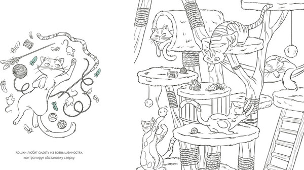 Изображение товара Раскраска-антистресс Махаон Кошки, мягкая обложка (Малецкая Кира)