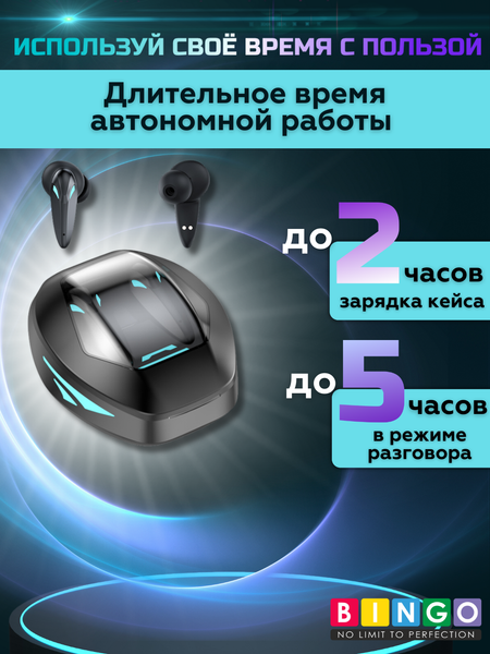 Изображение товара Беспроводные наушники Bingo TG09 (черный)