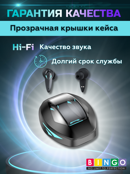 Изображение товара Беспроводные наушники Bingo TG09 (черный)