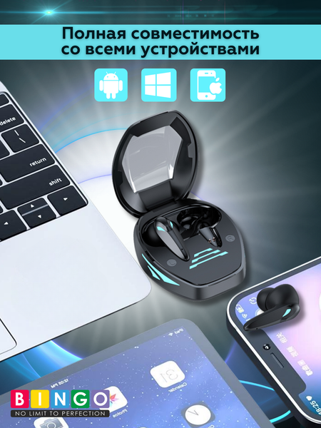 Изображение товара Беспроводные наушники Bingo TG09 (черный)
