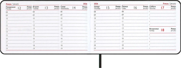 Изображение товара Еженедельник Escalada Виннер 2026 / 70401 (64л, мятный)