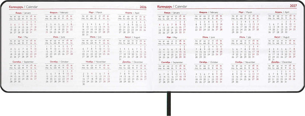 Изображение товара Еженедельник Escalada Виннер 2026 / 70401 (64л, мятный)