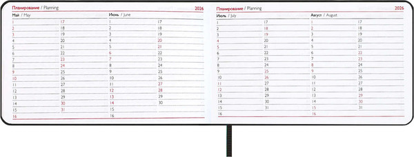 Изображение товара Еженедельник Escalada Виннер 2026 / 70401 (64л, мятный)