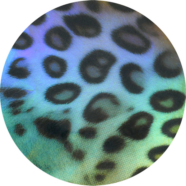 Изображение товара Еженедельник Escalada Леопард 2026 / 70347 (64л, коричневый)