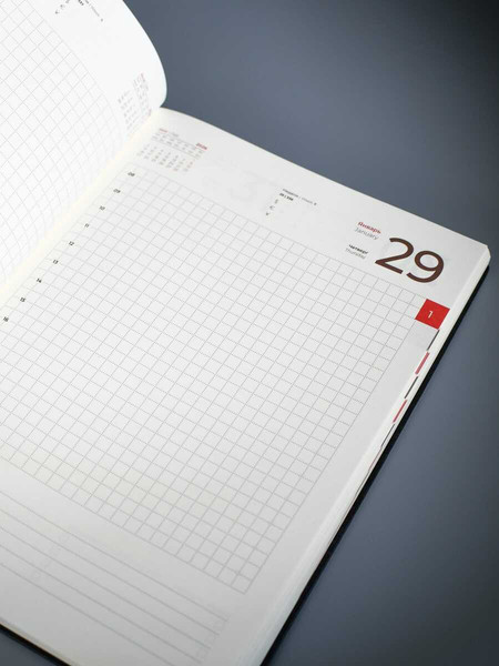 Изображение товара Ежедневник Escalada Шеврет 2026 / 70208 (176л, черный)