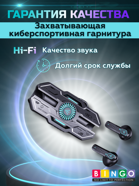 Изображение товара Беспроводные наушники Bingo VT-G20 (серебристый)