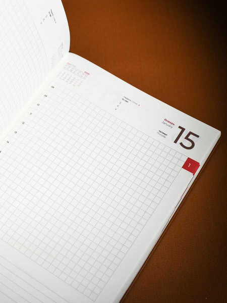 Изображение товара Ежедневник Escalada Шеврет 2026 / 70209 (176л, коричневый)