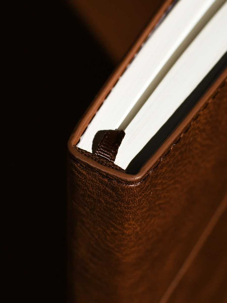 Изображение товара Ежедневник Escalada Шеврет 2026 / 70209 (176л, коричневый)