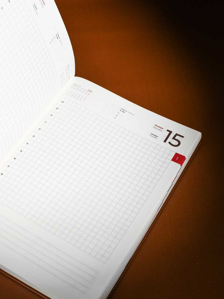 Изображение товара Ежедневник Escalada Шеврет 2026 / 70209 (176л, коричневый)