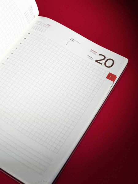 Изображение товара Ежедневник Escalada Шеврет 2026 / 70210 (176л, бордовый)