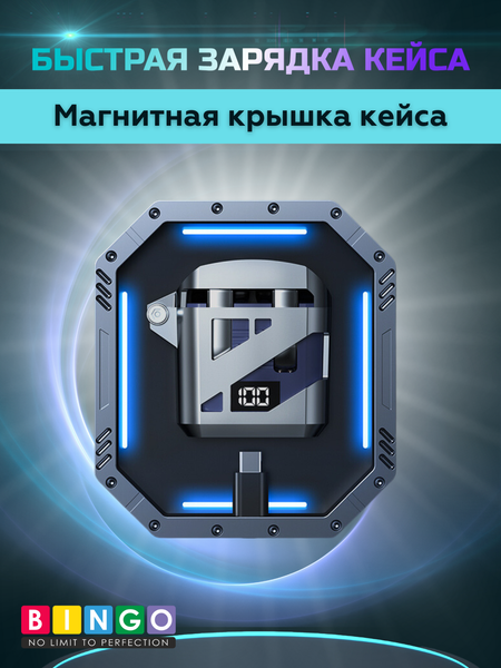 Изображение товара Беспроводные наушники Bingo GT02 (черный)