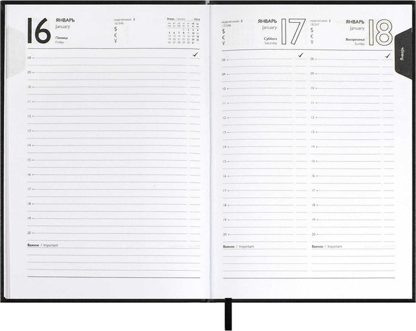 Изображение товара Ежедневник Escalada Наппа 2026 / 70283 (176л, черный)