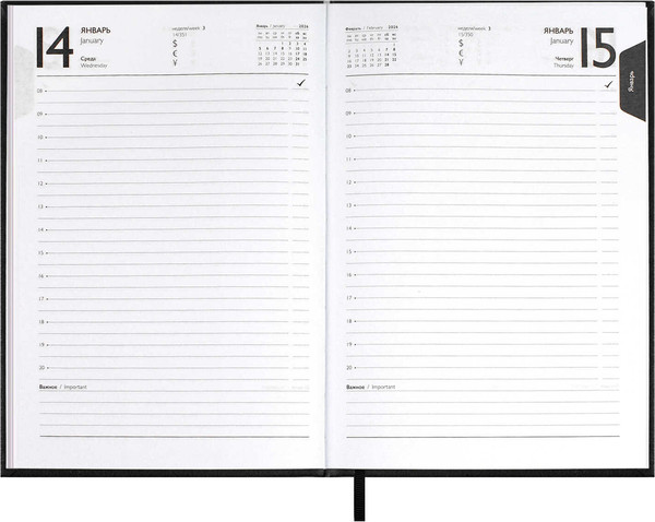 Изображение товара Ежедневник Escalada Наппа 2026 / 70283 (176л, черный)