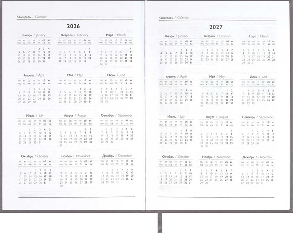 Изображение товара Ежедневник Escalada Наппа 2026 / 70288 (176л, серый)