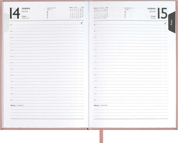 Изображение товара Ежедневник Escalada Наппа 2026 / 70289 (176л, розовый)