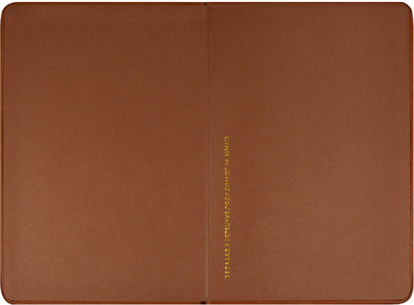 Изображение товара Ежедневник Escalada Пике / 70640 (160л, пепельно-коралловый)