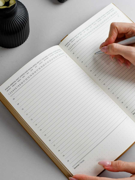 Изображение товара Ежедневник Escalada Пике Макро / 70657 (160л, коричневый)