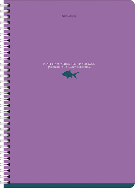 Изображение товара Набор тетрадей Brauberg 404647 (2шт)