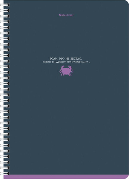 Изображение товара Набор тетрадей Brauberg 404647 (2шт)