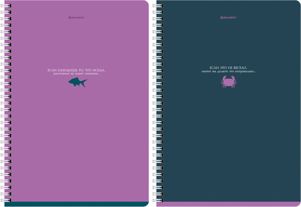 Изображение товара Набор тетрадей Brauberg 404647 (2шт)