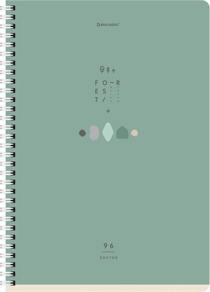 Изображение товара Набор тетрадей Brauberg 404648 (2шт)