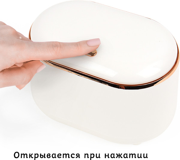 Изображение товара Контейнер для мусора Darvish DV-H-2173-1