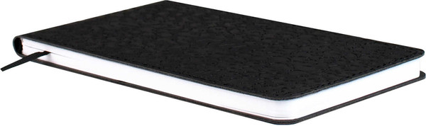 Изображение товара Еженедельник Escalada Виннер 2026 / 70398 (64л, черный)