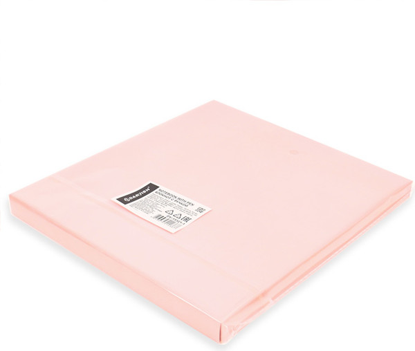 Изображение товара Записная книжка Darvish Капибара. С ручкой / DV-15321-1 (50л)