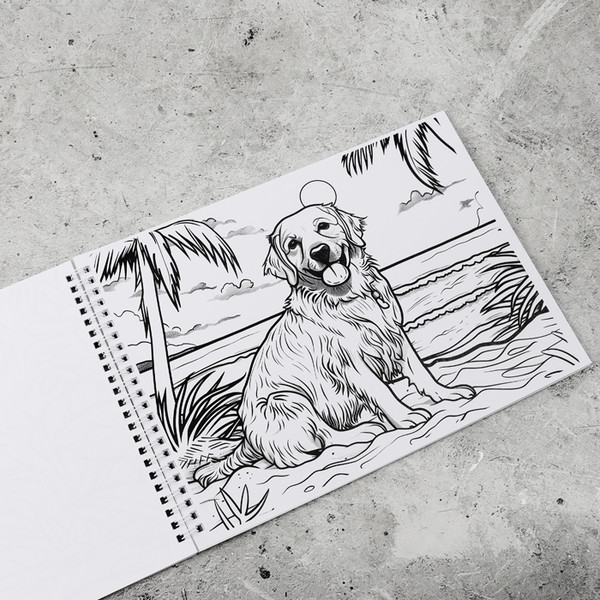 Изображение товара Альбом для рисования Darvish Милый котенок. С раскраской / SR-15635-1