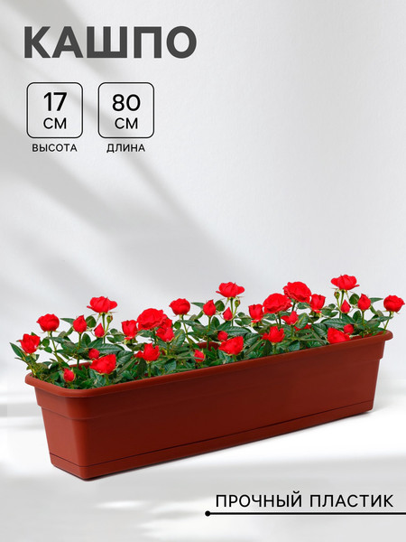 Изображение товара Ящик для рассады Darel 3277420 (терракотовый)