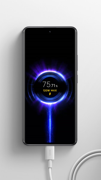 Изображение товара Кабель Xiaomi USB-C to USB-C BHR087AGL / K36350 (2м)