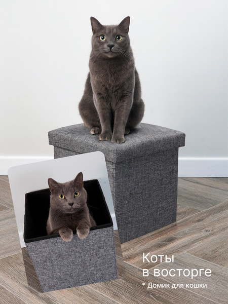 Изображение товара Пуф Гелеос 31-ТС складной (серый)