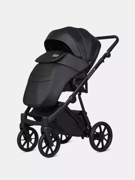 Изображение товара Детская универсальная коляска Riko Montana X Ecco 3 В 1 Basic (черный)
