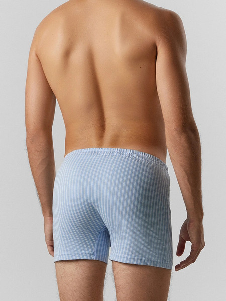 Изображение товара Комплект мужских трусов Mark Formelle 411152-2 (р.106-116, полоска на пыльно-голубом/полоска на неви)