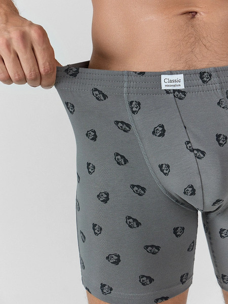 Изображение товара Трусы мужские Mark Formelle 411155 (р.82-92, зубры на темно-сером/декор)