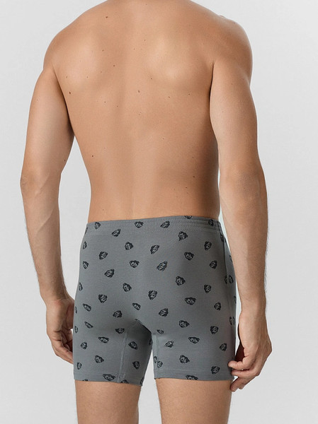 Изображение товара Трусы мужские Mark Formelle 411155 (р.82-92, зубры на темно-сером/декор)