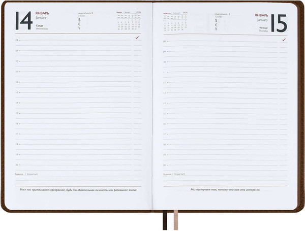 Изображение товара Ежедневник Escalada Шевро 2026 / 70215 (176л, коричневый)